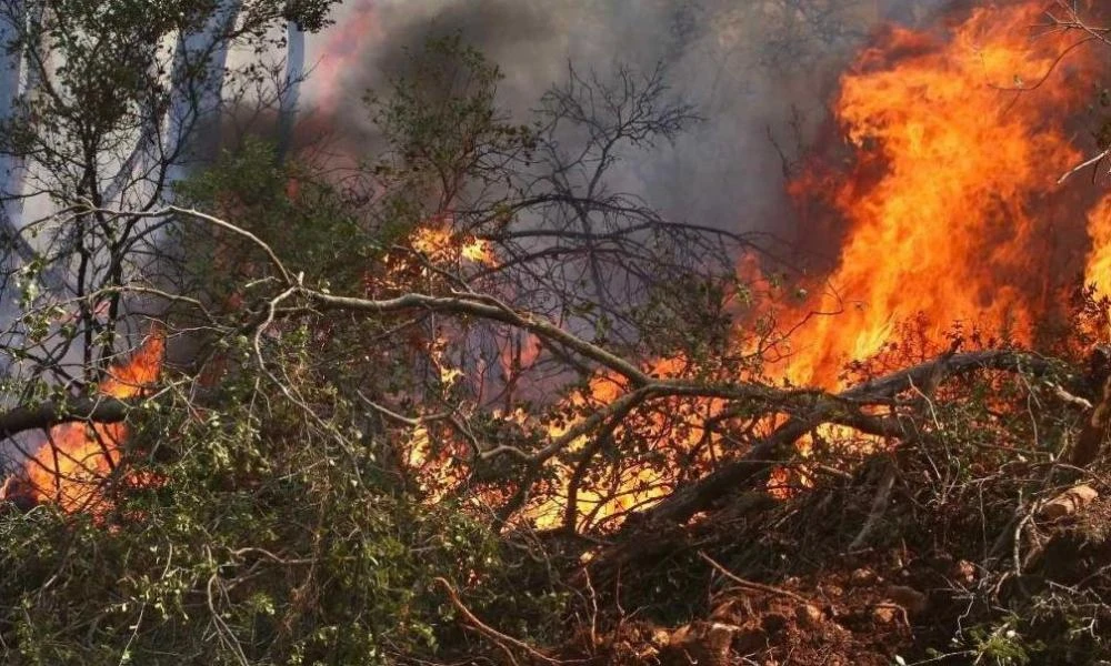 Χανιά: Σύλληψη άντρα για πρόκληση πυρκαγιάς από πρόθεση σε δασική έκταση